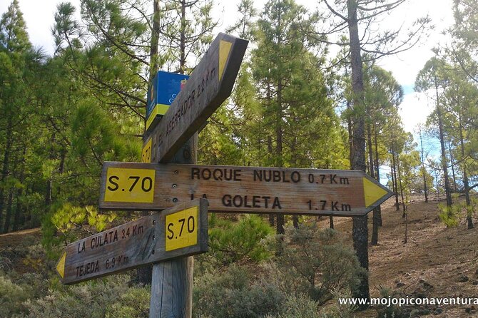 3-Hour Hiking Experience in Roque Nublo - Price and Value: Is $80.32 a Fair Deal?