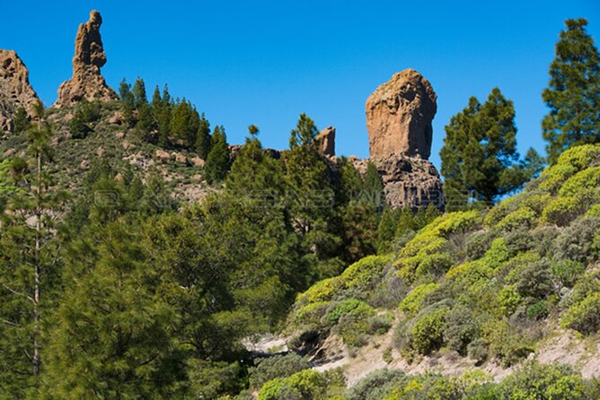 3-Hour Hiking Experience in Roque Nublo - Starting at the Roque Nublo Parking Lot: The Briefing That Sets You Up