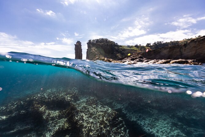 3 Hour Kayak Guided Tour in Islet of Vila Franca Do Campo - Entering the Islet of Vila Franca do Campo: caves, rules, and timing
