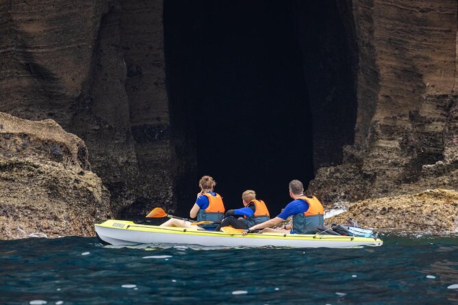 3 Hour Kayak Guided Tour in Islet of Vila Franca Do Campo - Who should book this sea kayak tour to Vila Franca do Campo?