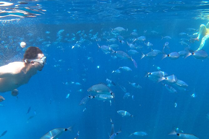 3-Hour Northwest Coast Excursion: Aquarium and Islas Margaritas - Getting Your Bearings: This 3-Hour Northwest Coast Style