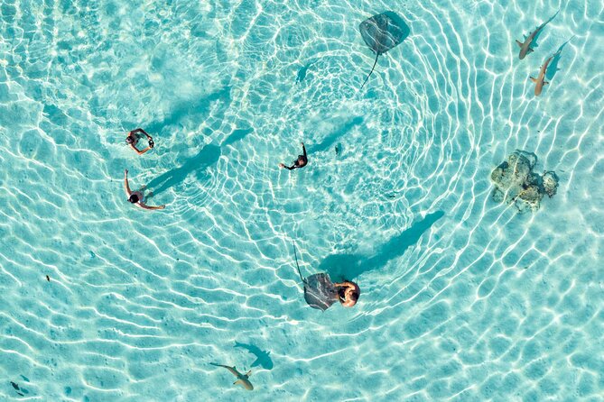 3-Hour Snorkeling Tour - Key highlights