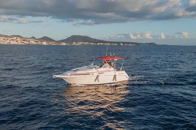 3 Hour VIP Private Luxury Boat Charter in Tenerife - Price and Value for a Private Charter Up to 6