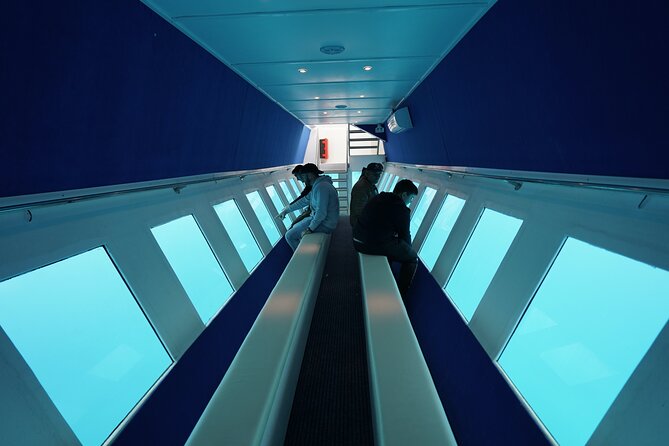 3 Hour Yellow Semi Submarine Swimming Cruise with Drinks Included! - Underwater Viewing Windows: Fun Idea, Watch the Timing