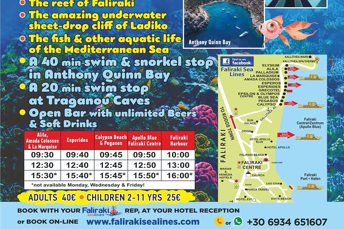 3 Hour Yellow Semi Submarine Swimming Cruise with Drinks Included! - Gear Quality and Safety: What You Should Check Immediately