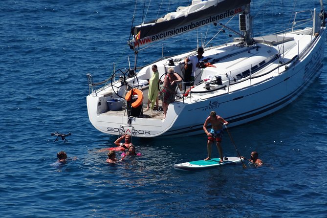 3 Hours All Inclusive Whale and Dolphin Whatching Yacht Trip - Price and value: what $52.36 buys you on the water