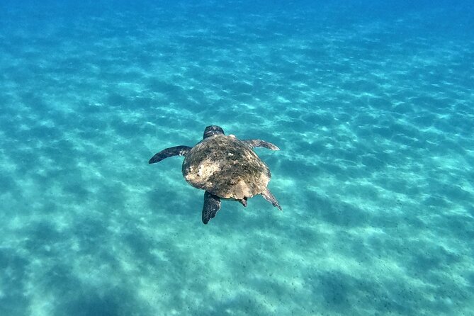 3 Hours Marathonissi Island Tour, Keri Caves and Turtles Spotting - Who this tour fits best (and who should pick something else)