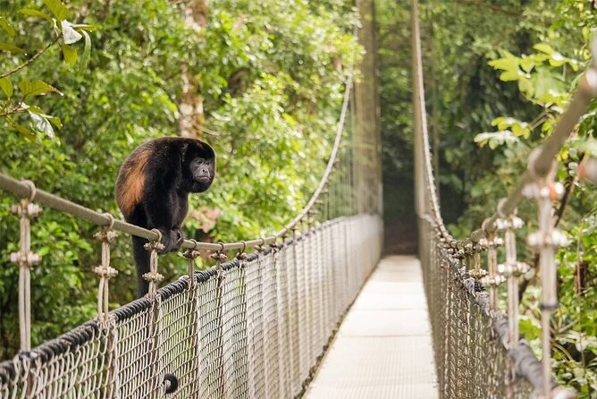 3 in 1 Combo: La Fortuna Waterfall, Hanging Bridges, Thermal Spa from San José - Los Lagos Hotel, Spa & Resort: 15+ pools, long soak time, and volcano views