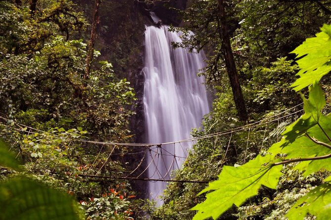 3-in-1 Monteverde Cloud Forest Waterfalls, Wild Trekking and Horseback Riding - How the Monteverde morning tour actually flows