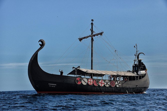 3h Viking Cruise with Drinks, Whales watching & Swimming Time - Who This Cruise Fits Best (And Who Should Think Twice)