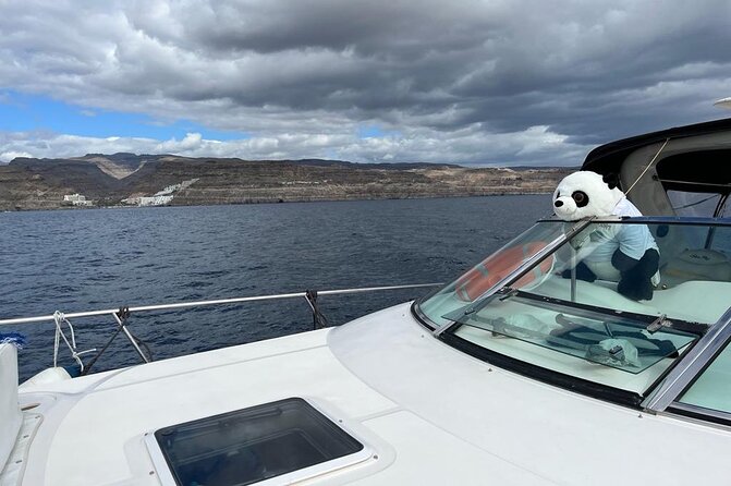 4 Hour Boat Tour with Snorkeling from Puerto Rico and Mogan - Playa de Veneguera Snorkeling: The Best Use of Your Time