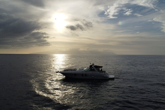 4 Hour Boat Tour with Snorkeling from Puerto Rico and Mogan - Lunch, Drinks, and Optional Thrills on Board