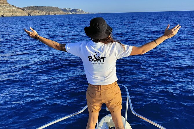 4 Hour Boat Tour with Snorkeling from Puerto Rico and Mogan - Should You Book This Puerto Rico to Mogán Snorkeling Boat Tour?