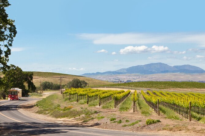 4 Hour Livermore Valley Wine Tour - Key highlights that make this tour worth your time