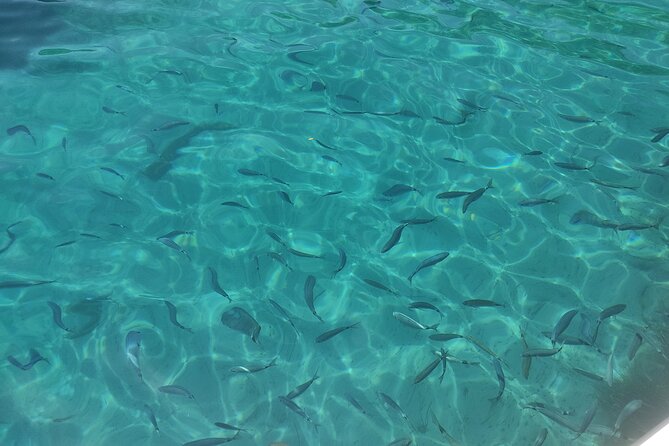 4-Hour Private Boat Tour in Corfu - Price and Value for a Group Up to 8