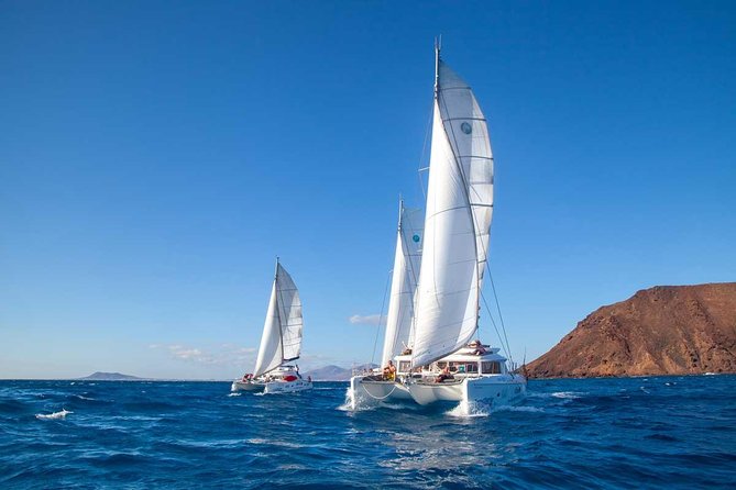 4-Hour Sailing Tour of Lobos Island from Fuerteventura - The Included Lunch: Seafood Paella That’s Not Just a Token Meal