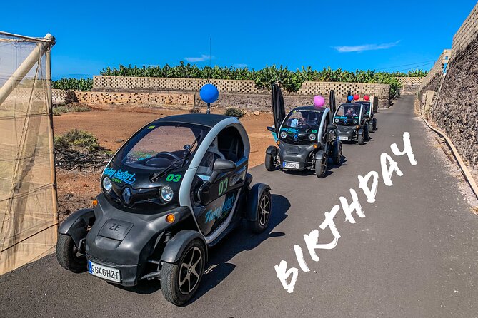 4 Hours Eco Safari Tour with Electric Car in Tenerife - Stop 3: Chio cottage-industry stop for mojo, jams, and chutneys