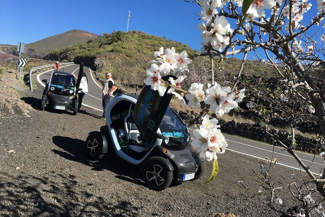 4 Hours Eco Safari Tour with Electric Car in Tenerife - Price and value: what $96.79 gets you in real time