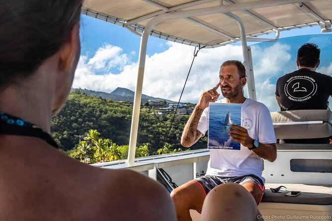 4 Hours of Humpback Whale Watching in Tahiti - When snorkeling becomes possible (and when it doesn’t)
