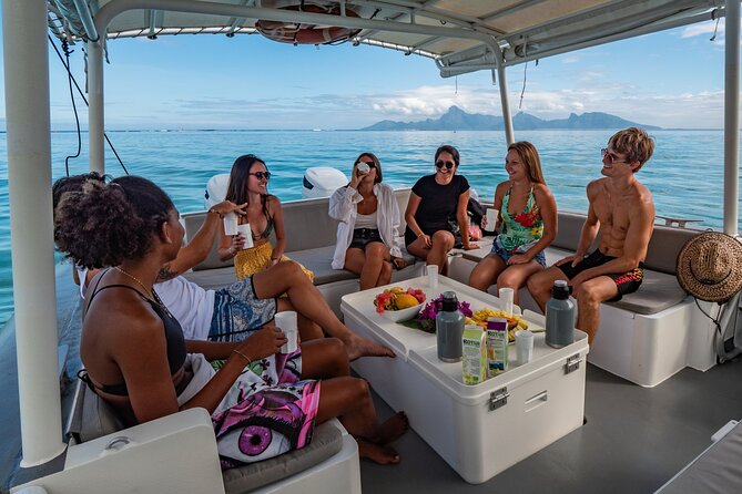 4 Hours of Humpback Whale Watching in Tahiti - Who this tour is best for