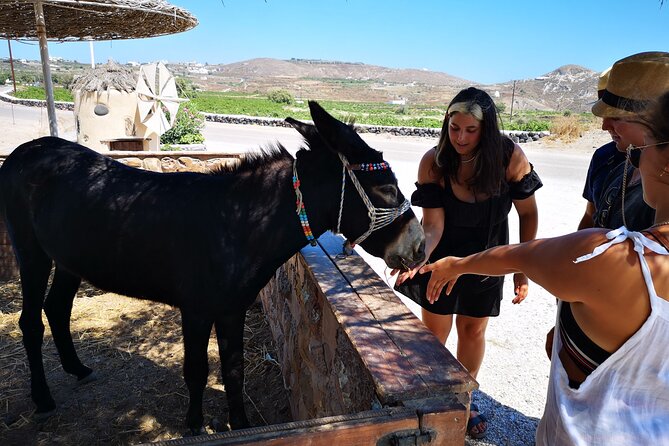 4 hrs PRIVATE island tour and photos, Oia and Blue domes - Akrotiri: castle walls, Duke’s chamber, and pirate-era history