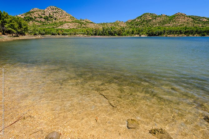 4 × 4 excursion to the beaches of Biderosa and Capo Comino - Oasi Biderosa: pine tracks, Sa Curcurica pond, and real quiet