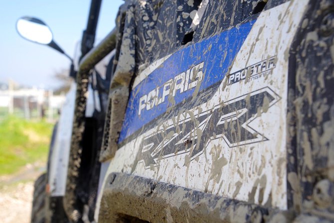 4x4 Buggy Adventures - Off-road Polaris Experience - The halfway stop: donkeys, honey, olive oil, and a real pause