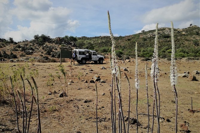 4x4 excursion between mountain and sea - Getting started in Orosei: pickup points and how to show up ready