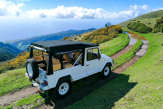 4x4 Jeep Tour to the West & Northwest of Madeira - Porto Moniz natural lava pools: swimming in volcanic rock