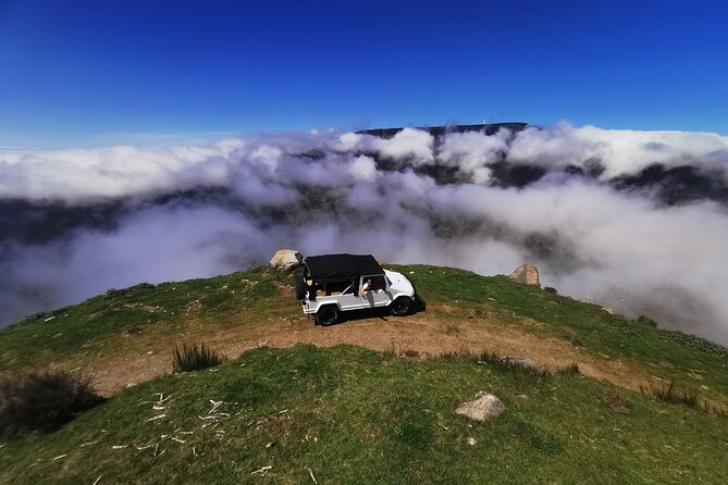 4x4 Jeep Tour to the West & Northwest of Madeira - Fanal and Paul da Serra: UNESCO forest mood and highland views
