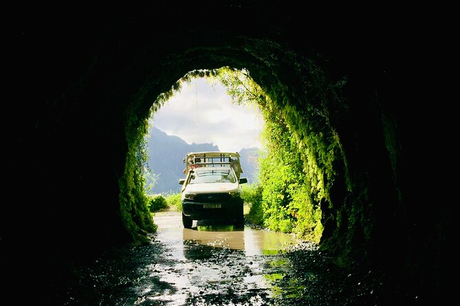 4x4 Safari HEREAKIMANU Tour in the Heart of Tahiti - Fare Hape Village: Traditional Life and Local Meaning