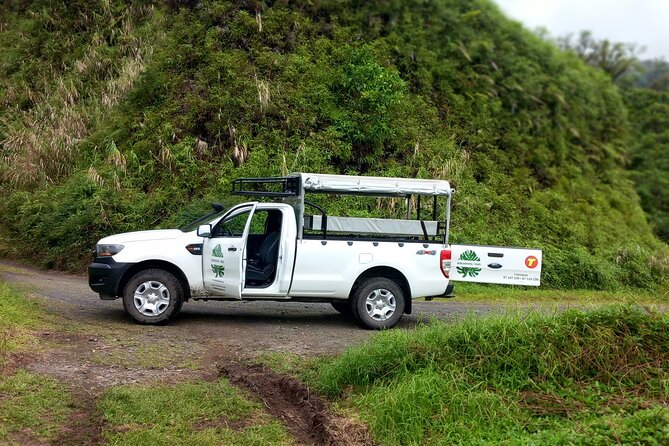 4x4 Safari HEREAKIMANU Tour in the Heart of Tahiti - Weather and Waterfalls: Why Rain Can Actually Be a Plus