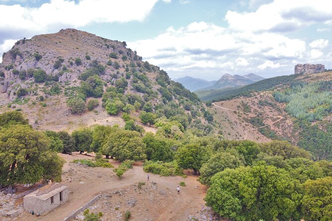 4x4 tour of Orgosolo: Murals and typical lunch at the shepherd's - Foresta di Montes and Su Pinnetu: Where Lunch Becomes the Main Event