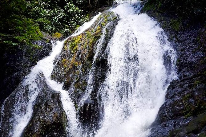 5 Hour Off-Road ATV+ Zipline+ Waterfall Rappelling+ Tractor Jungle Tour - Guides, safety, and the kind of humor that helps