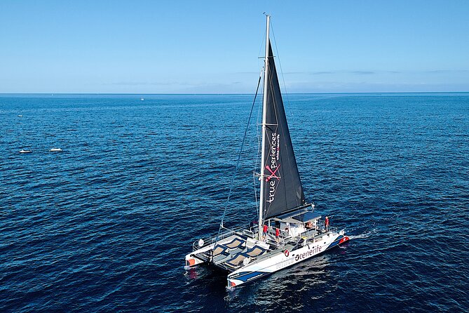 5 hr watching and listening whales and dolps. Visit Los Gigantes - Whale and dolphin watching from Tenerife’s south coast