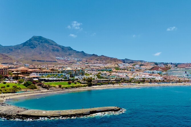 5 hr watching and listening whales and dolps. Visit Los Gigantes - Lunch onboard: the practical value of not hunting for food