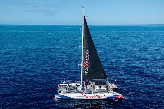 5 hr watching and listening whales and dolps. Visit Los Gigantes - Who should book this cruise (and who might not)