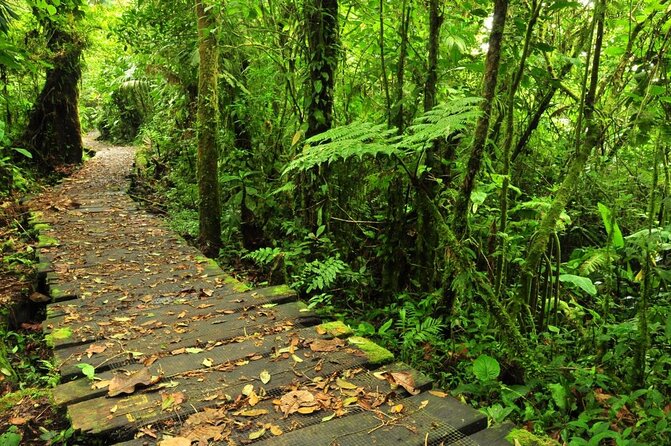 6 in 1 Full Day Pass: Aerial Tram & Zipline-Braulio Carrillo Park - Key highlights worth planning for