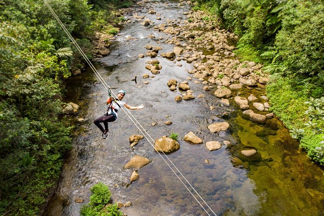 6 in 1 Full Day Pass: Aerial Tram & Zipline-Braulio Carrillo Park - A 6-in-1 rainforest day from San Jose that doesn’t waste time