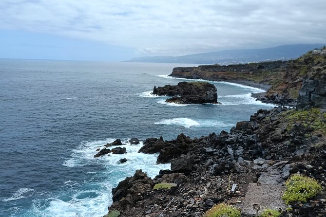 6hrs Private Tour in North Coast of Tenerife - Private pickup at 9:30: how to set up your day