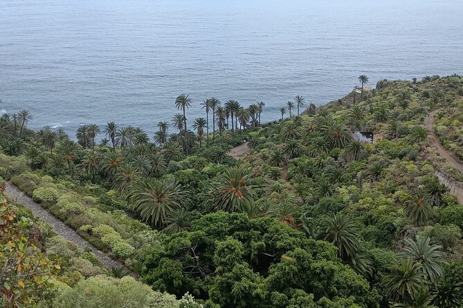 6hrs Private Tour in North Coast of Tenerife - San Juan de la Rambla: historic center plus La Laja natural pool