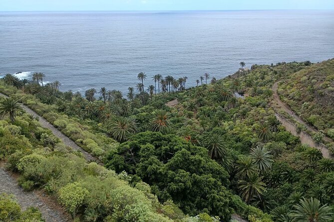 6hrs Private Tour in North Coast of Tenerife - Guides that truly adapt the route (and why it matters)