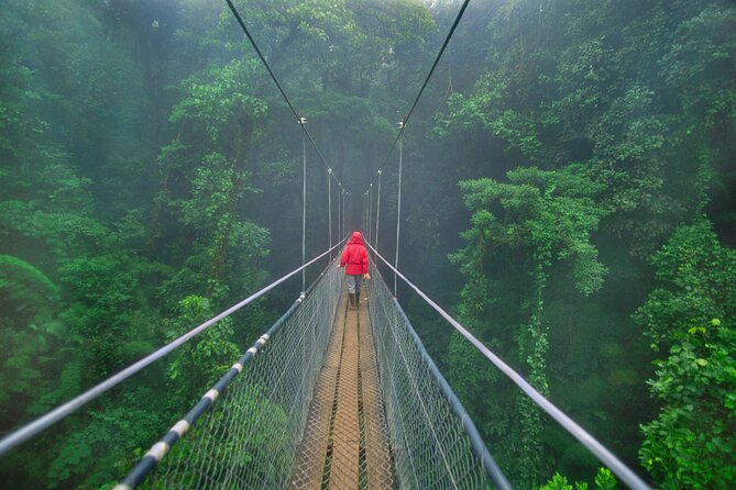 8 days and 7 nights - Costa Rica Pura Vida - Days 6–7 Manuel Antonio: beaches, trails, and wildlife probability