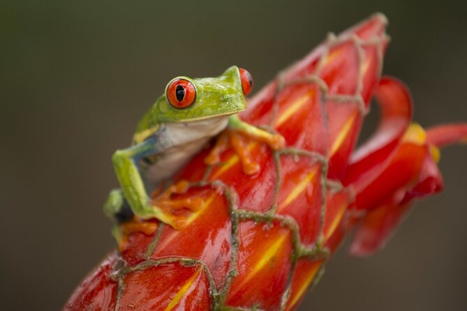 8 days and 7 nights - Costa Rica Pura Vida - Price and value: what $1,568 covers and what to budget for yourself