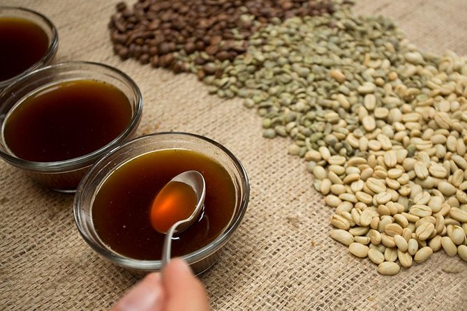 A taste of Aquiares - 2 hours Coffee Tour - Key Points You’ll Care About