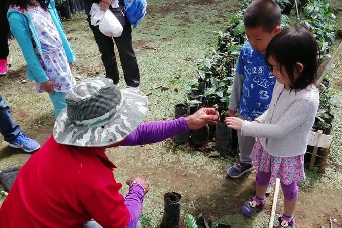 A taste of Aquiares - 2 hours Coffee Tour - Should You Book the AQuiares Coffee & Community Experience?