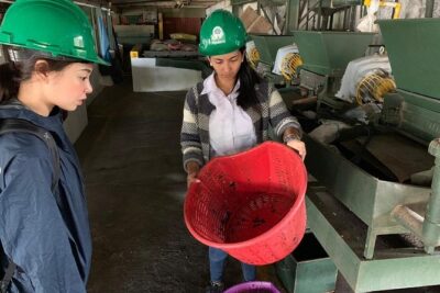 A taste of Aquiares - 2 hours Coffee Tour - Where It Runs: Aquiares North of Turrialba (and What That Means for You)