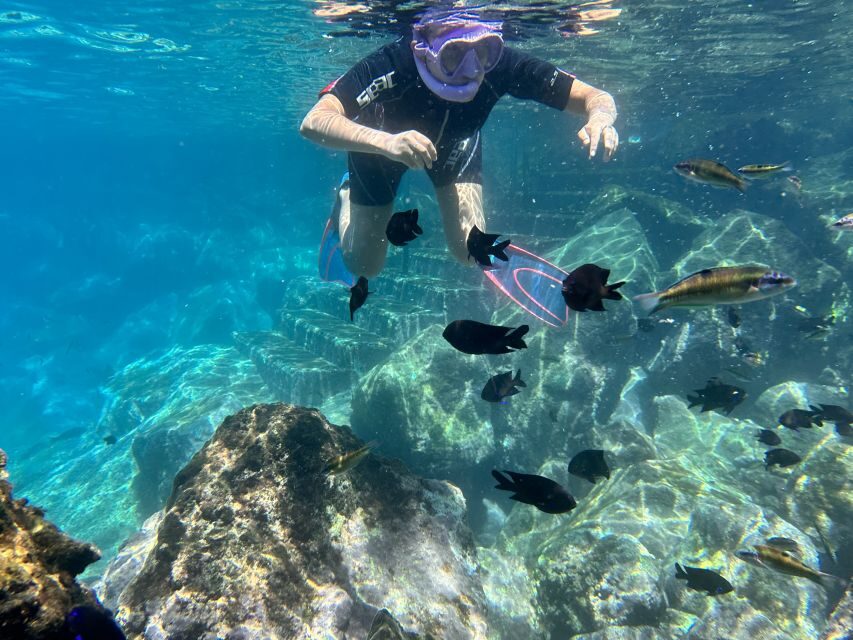 Abades: Guided Snorkeling Tour with Photos - Who this tour fits best (and who should skip it)