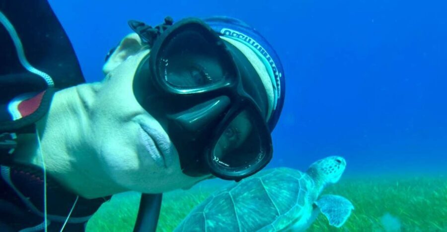 Abades: Guided Snorkeling Tour with Photos - Where you meet at Playa Abades (and how the gear part works)
