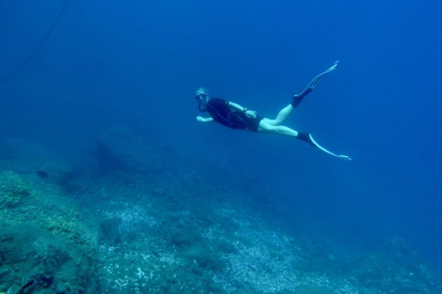 Abades: Guided Snorkeling Tour with Photos - Turtles, rays, and octopus: what you’re likely to see